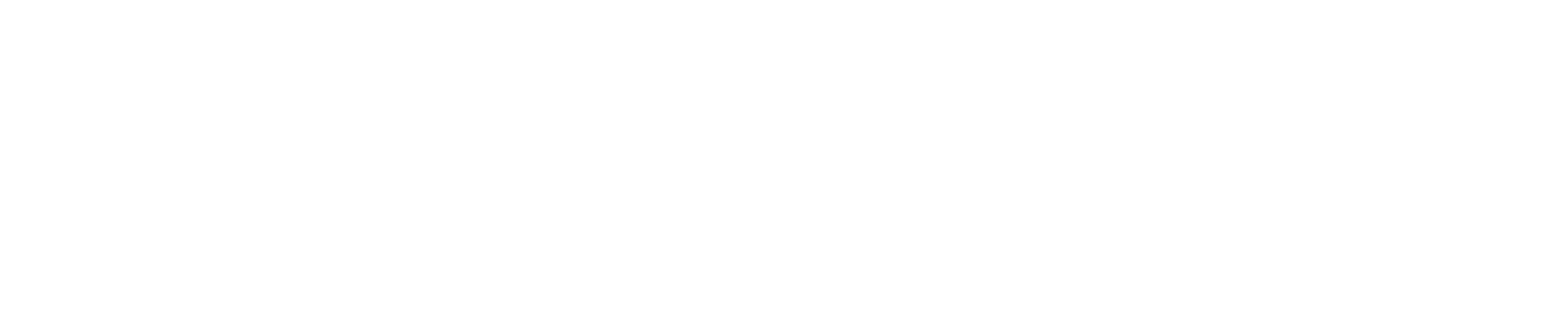 Rm Logo Nostrap White